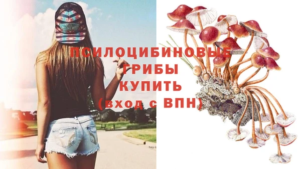 ГАЛЛЮЦИНОГЕННЫЕ ГРИБЫ Волоколамск