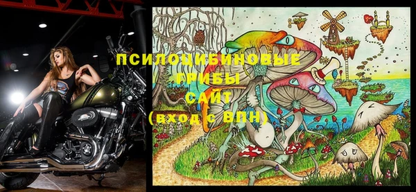 ешки Строитель