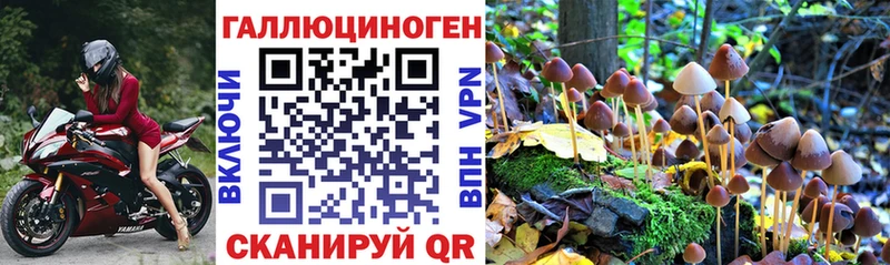 Галлюциногенные грибы Psilocybine cubensis  hydra вход  Оханск 